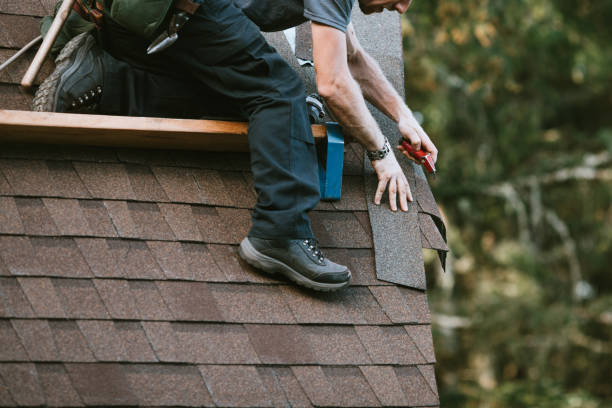 Best Roof Gutter Cleaning  in Southside, AL