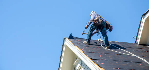 Best Roof Gutter Cleaning  in Southside, AL